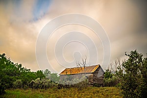 Abandoned log cabin house deep woods in texas