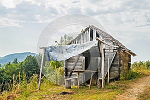 Abandoned log cabin