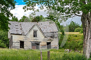 Abandoned Loyalist Farmhouse