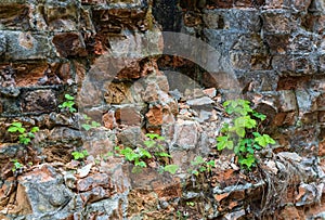 Abandoned Military Tarakaniv Fort - a defensive structure  an architectural