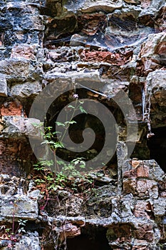 Abandoned Military Tarakaniv Fort other names - Dubno Fort, New Dubna Fortress - a defensive structure, an architectural