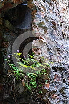 Abandoned Military Tarakaniv Fort other names - Dubno Fort, New Dubna Fortress - a defensive structure, an architectural