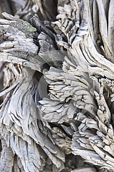 Texture of burnt wood, Rio Tinto
