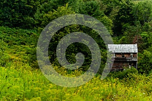 Abandoned Mountain Homestead - Appalachian Mountains - Maryland