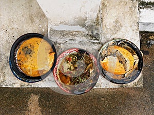 Abandoned offerings to Buddha with wilted and faded flowers and melted candle wax in plates.