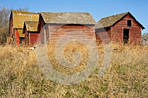 Abandoned old barn and sheds in dry grass