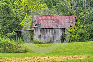 Abandoned Old Barn In the Summer Rain