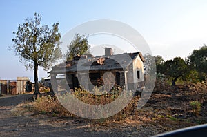 Abandoned old house in the forest Las Ollas CDMX