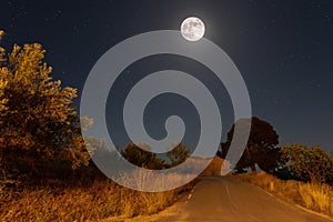 A lonely country road at night with the full moon in the sky. photo