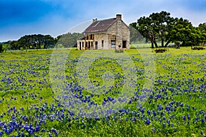 Abandoned Old House in Texas Wildflowers.