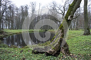 Abandoned old Park with a pond, deck, streams, ancient trees, garden benches in late autumn and leaf fall.