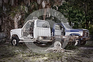 Abandoned Old Pick Up Trucks