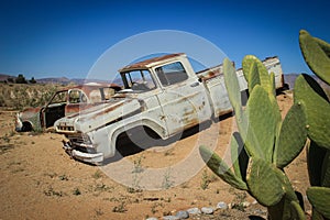 Abandoned old rusty cars in the desert of Namibia surrounded by cactus near the Namib-Naukluft National Park