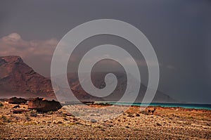 Abandoned old rusty tank on the shore of the island. Socotra. Yemen.