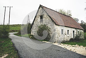 Abandoned old stone rural house. Village house. Derelict haunted stone house and dirt road in the woods. Tree white blossom