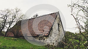 Abandoned old stone rural house. Village house. Derelict haunted stone house and dirt road in the woods. Tree white blossom