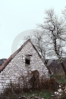 Abandoned old stone rural house. Village house. Derelict haunted stone house and dirt road in the woods. Tree white blossom