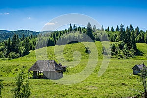Abandoned old wood house on green meadow in the Carpathian mountains