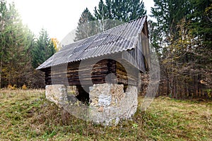 Abandoned old wooden house Cabin in the woods in Slovenia.