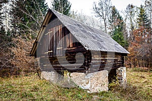 Abandoned old wooden house Cabin in the woods in Slovenia.