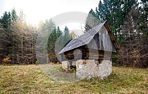 Abandoned old wooden house Cabin in the woods in Slovenia.