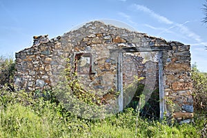 Abandoned Olive Grove Stone Hut