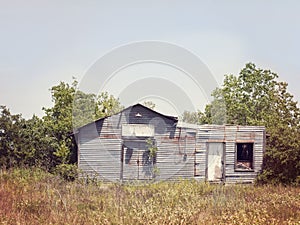 Abandoned Outbuilding