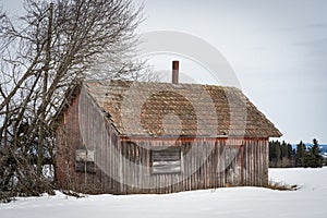 abandoned outhouse on a field