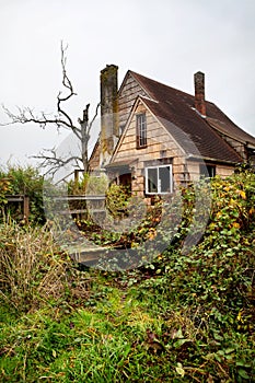 Abandoned overgrown house