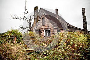 Abandoned overgrown house