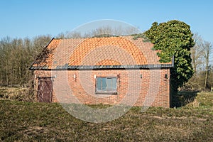 Abandoned and overgrown old shed