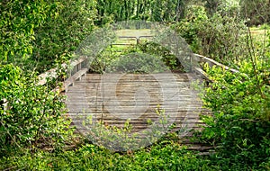 Abandoned Overgrown Wooden Bridge with Railing