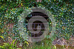 An abandoned overgrown wrought iron gate in woodland