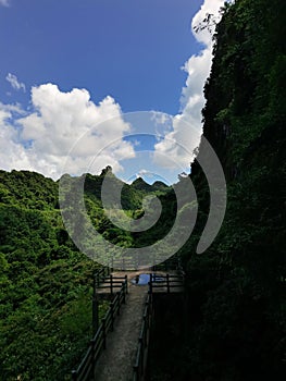 An abandoned overpass in the wilderness of the tropical jungles