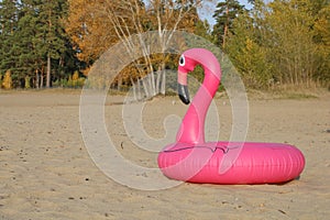 Abandoned pink flamingo swim ring on sand autumn beach