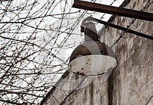 Abandoned place. Prison wall details