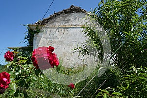 Abandoned places photographed with great resolution and sharpness