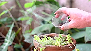 abandoned plastic bowl in a vase with stagnant water inside. close up view mosquitoes in potential breeding.proliferation of aedes