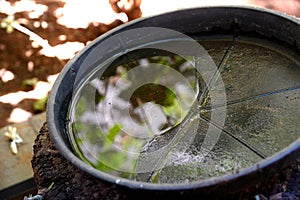 Abandoned plastic bowl, vase with stagnant water inside. potential breeding ground for mosquitoes and larvae. proliferation of