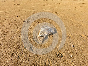 Abandoned plastic polythene bag on the beach.