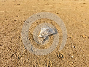 Abandoned plastic polythene bag on the beach. photo