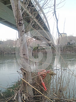 Abandoned Plastica doll on the River bank photo