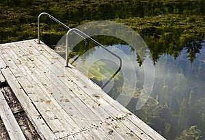 Abandoned pool with algae and wood in it