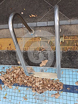 The abandoned pool is empty, old and rotten, with lots of leaves and dust.