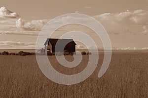 Abandoned Prairie Homestead photo