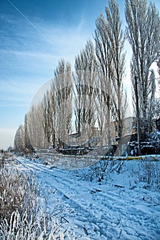 Abandoned railroad on the outskirts of Buchrest 