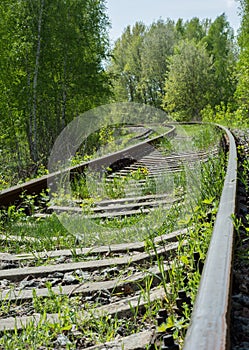 Abandoned railroad overgrown with grass and winding among trees