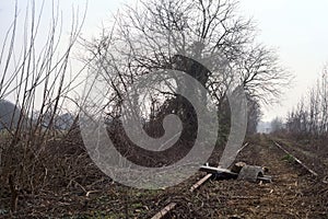 Abandoned railroad track bordered by trees and plant in the italian countryside in winter