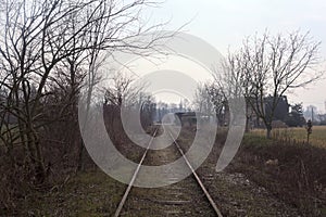 Abandoned railroad track bordered by trees and plant in the italian countryside in winter