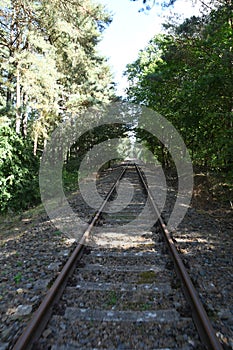 Abandoned railroad track in forest